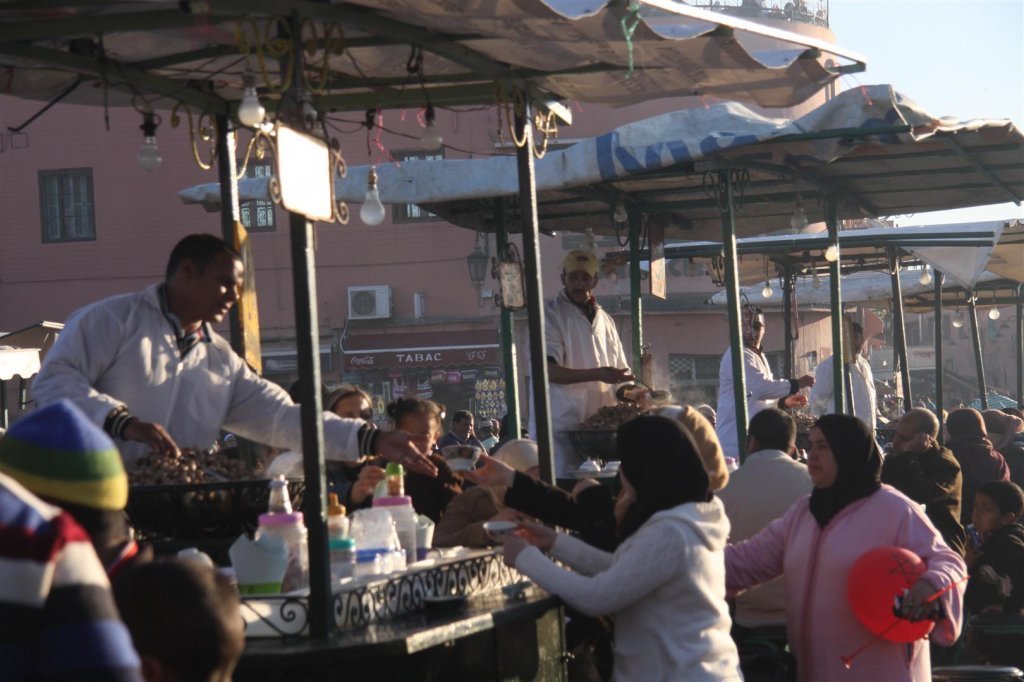 IMG_1901 (Large).JPG