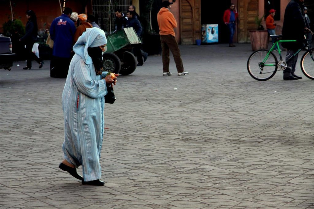 IMG_1907 (Large).JPG