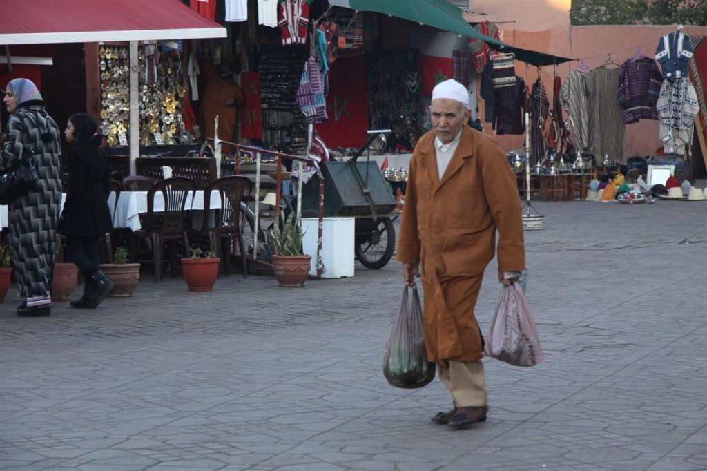 IMG_1914 (Large).JPG