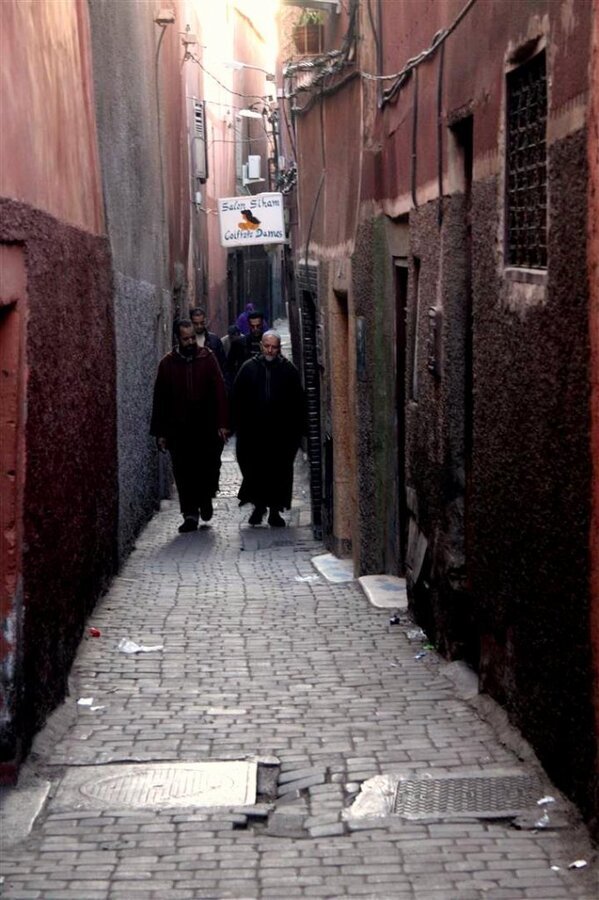 IMG_1922 (Large).JPG2.jpg