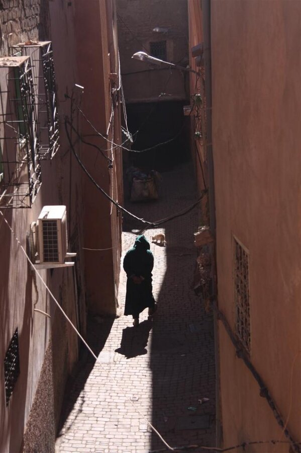 IMG_1950 (Large).JPG