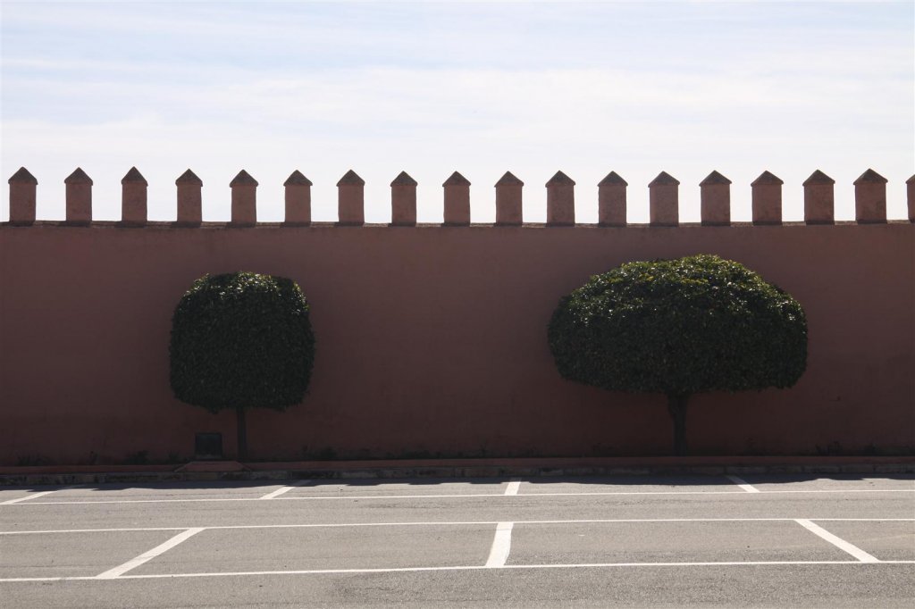 IMG_1966 (Large).JPG