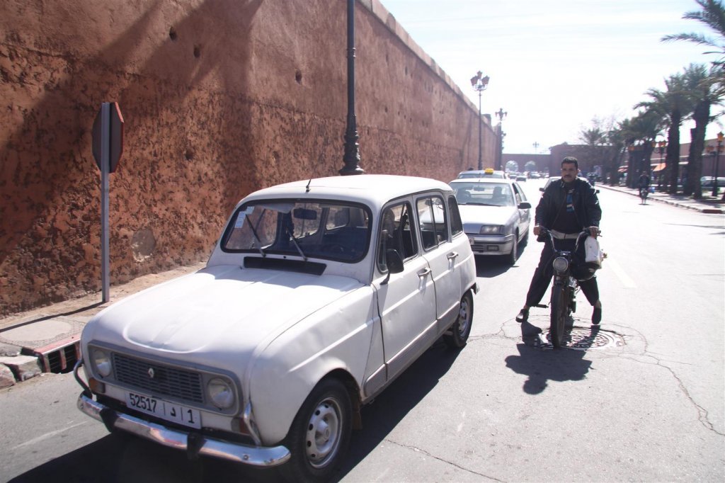 IMG_1981 (Large).JPG