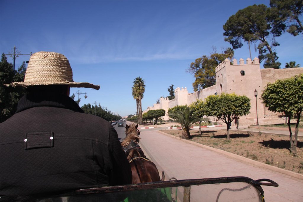 IMG_1996 (Large).JPG