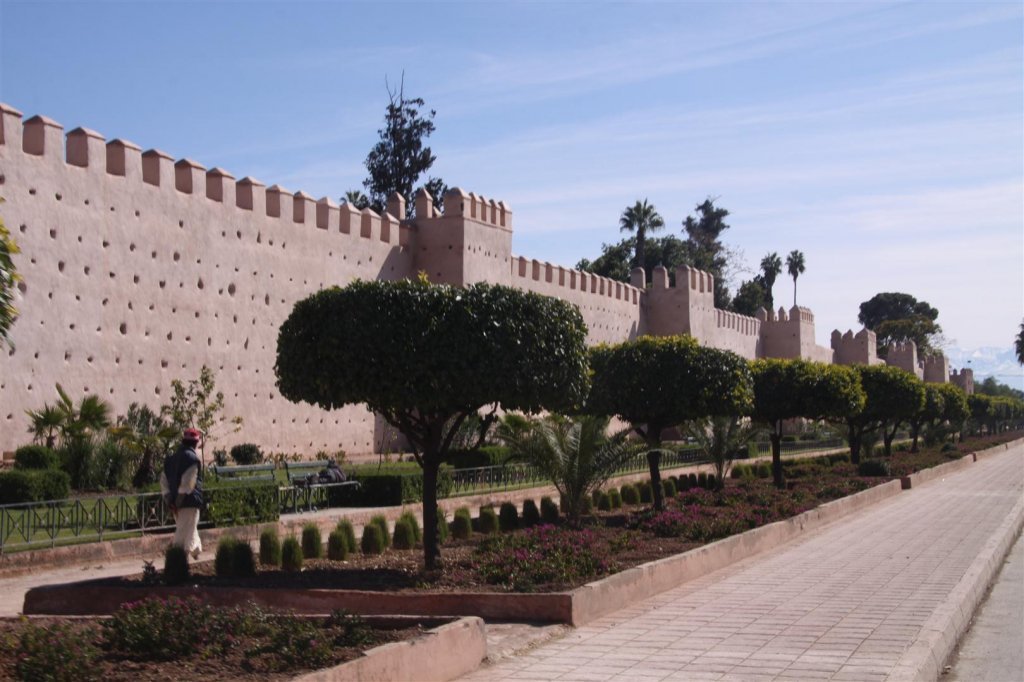 IMG_2001 (Large).JPG