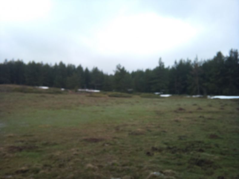 IMG_20110403_103259.jpg