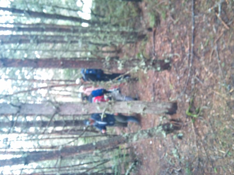 IMG_20110403_104542.jpg