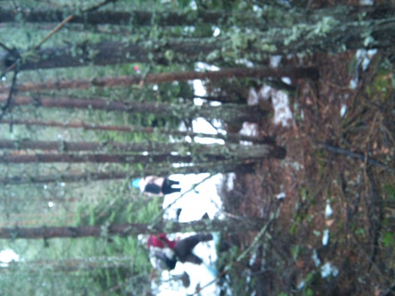 IMG_20110403_104625.jpg