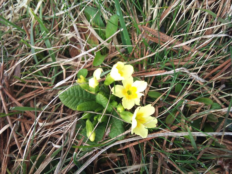 IMG_20110403_112830.jpg