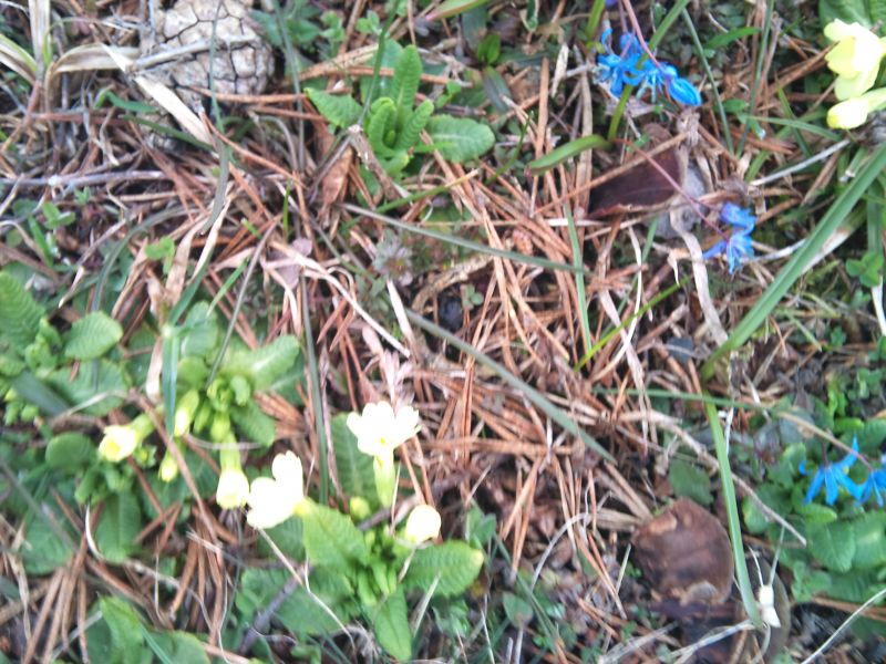 IMG_20110403_112854.jpg