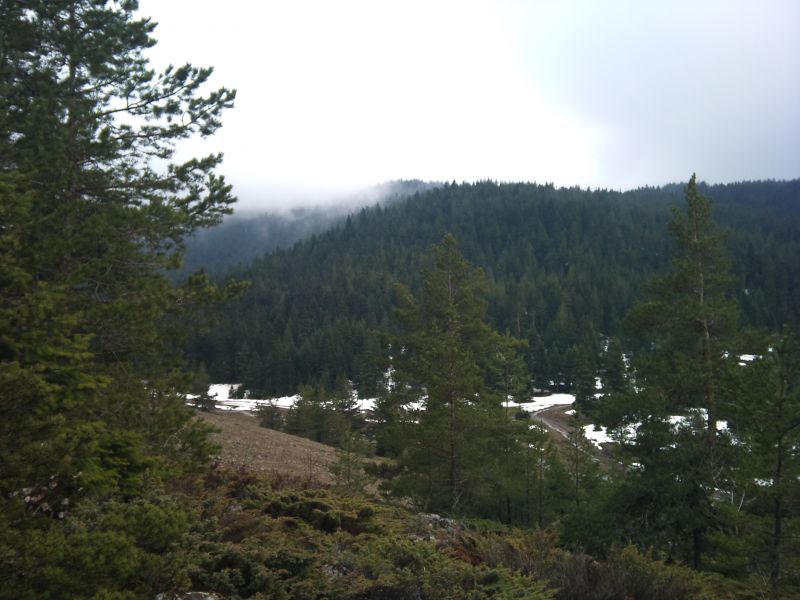 IMG_20110403_140141.jpg