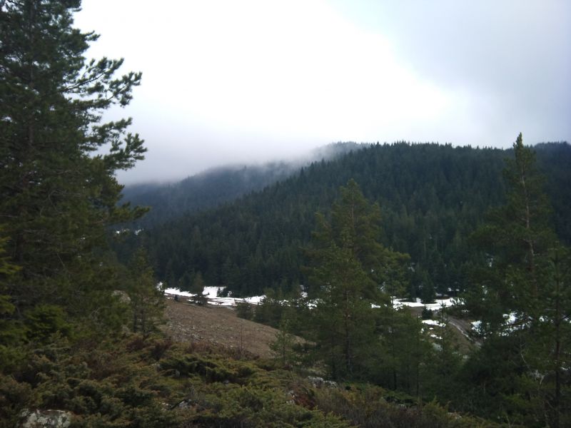 IMG_20110403_140149.jpg