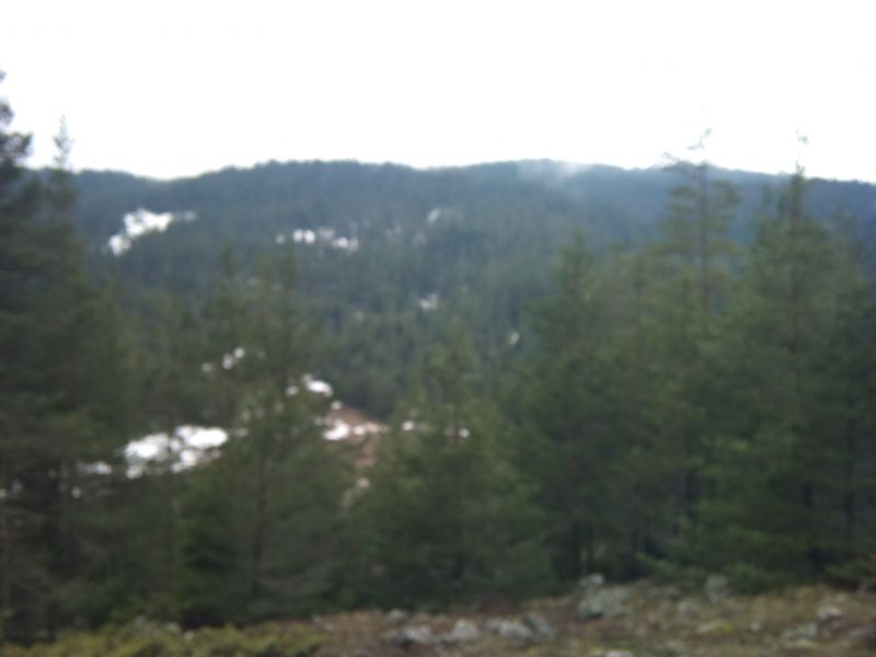 IMG_20110403_140217.jpg