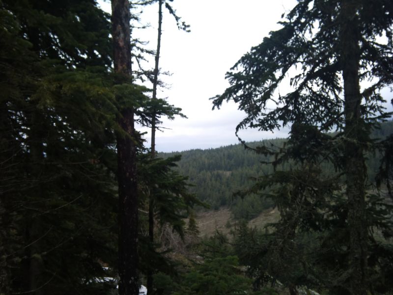 IMG_20110403_151358.jpg