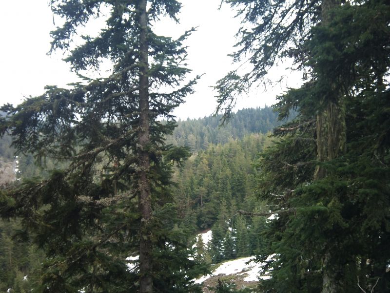 IMG_20110403_151411.jpg