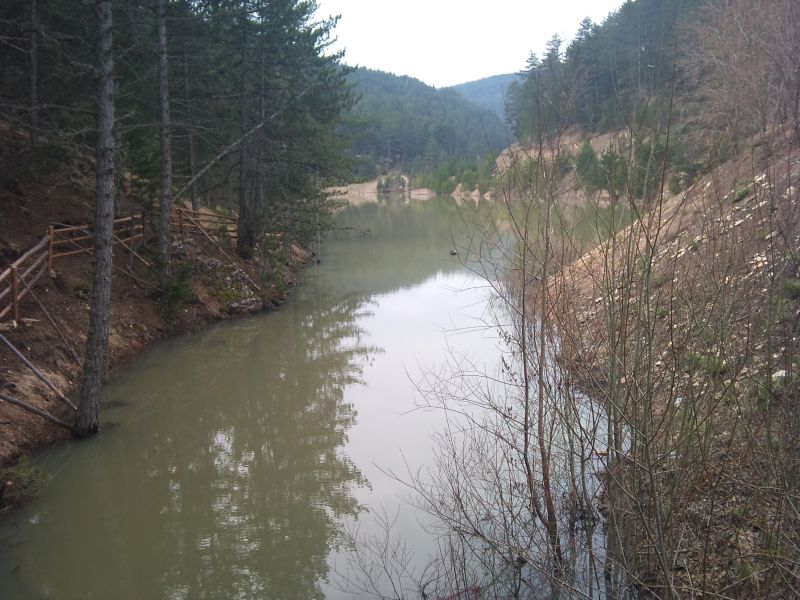 IMG_20110417_103941.jpg