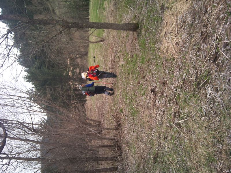 IMG_20110417_105533.jpg