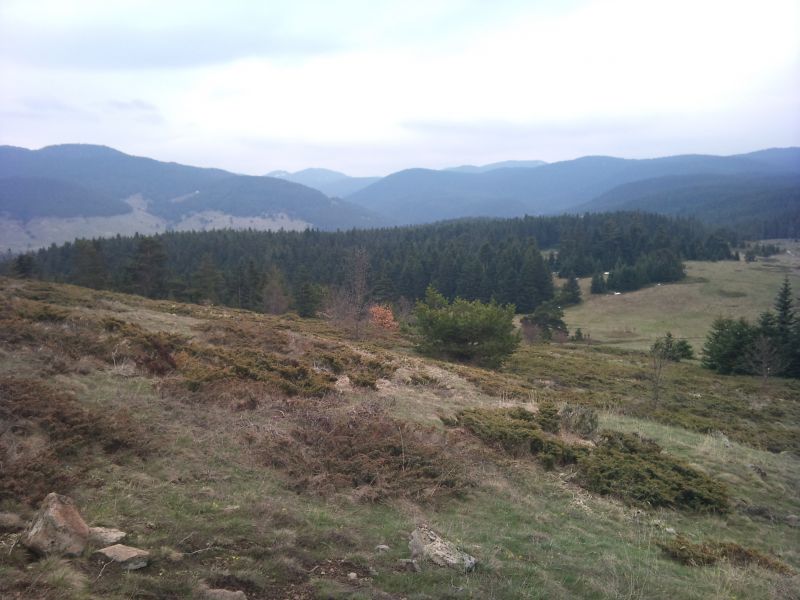 IMG_20110417_151221.jpg