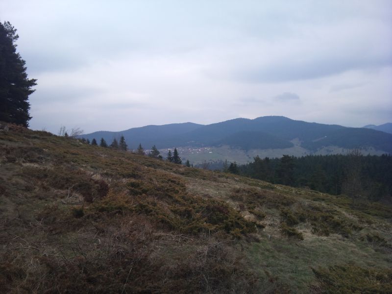 IMG_20110417_151246.jpg