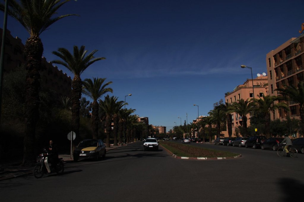 IMG_2013 (Large).JPG