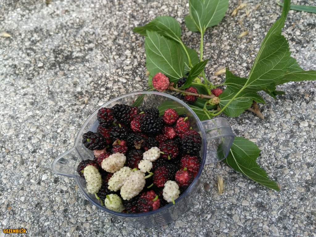 IMG_20180514_103231 (1).jpg