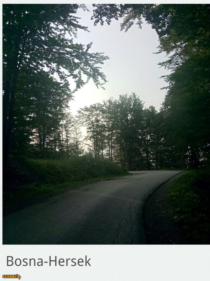 IMG_20180809_182445 (2).jpg