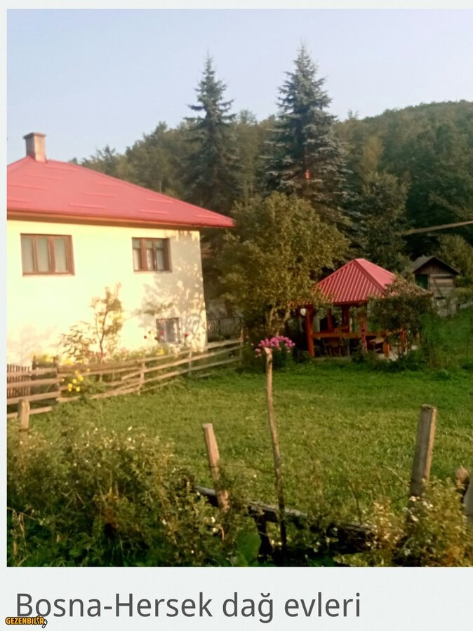 IMG_20180809_183556 (2).jpg