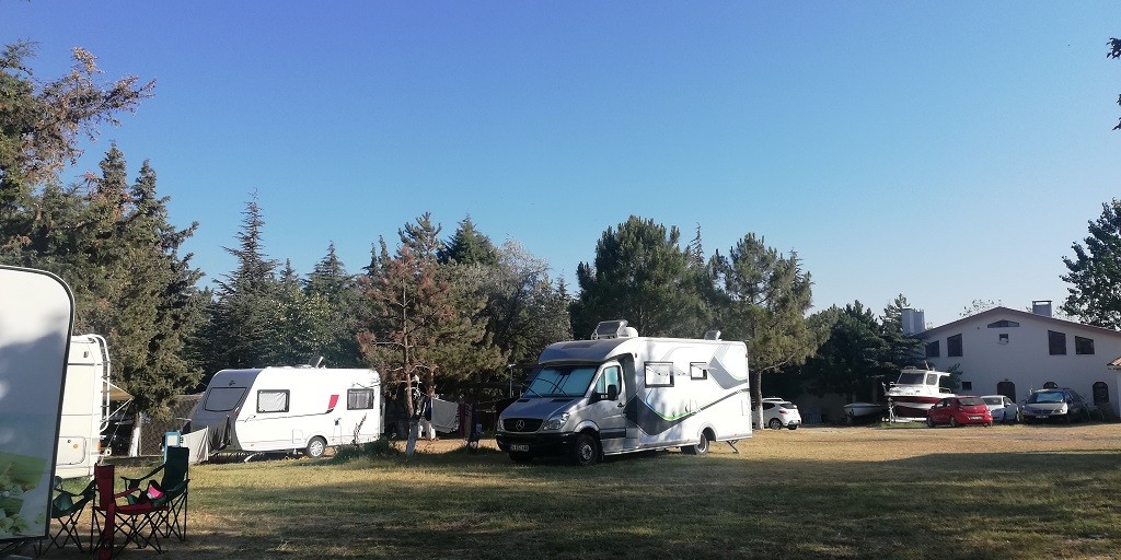 IMG_20200729_082609.jpg IMG_20200729_082609.jpg