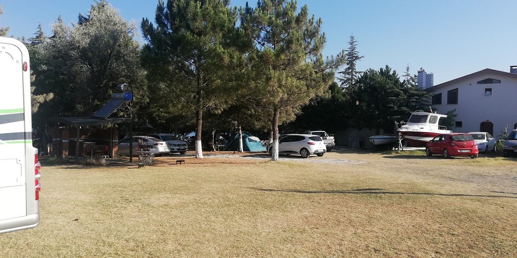 IMG_20200729_082806.jpg IMG_20200729_082806.jpg