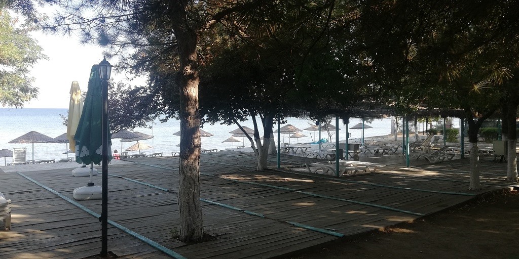 IMG_20200729_082904.jpg IMG_20200729_082904.jpg