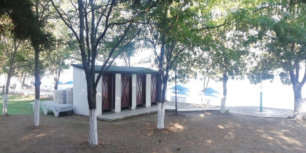 IMG_20200729_082910.jpg IMG_20200729_082910.jpg