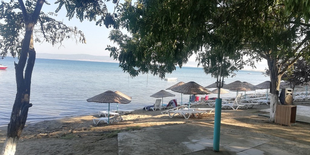 IMG_20200729_082937.jpg IMG_20200729_082937.jpg