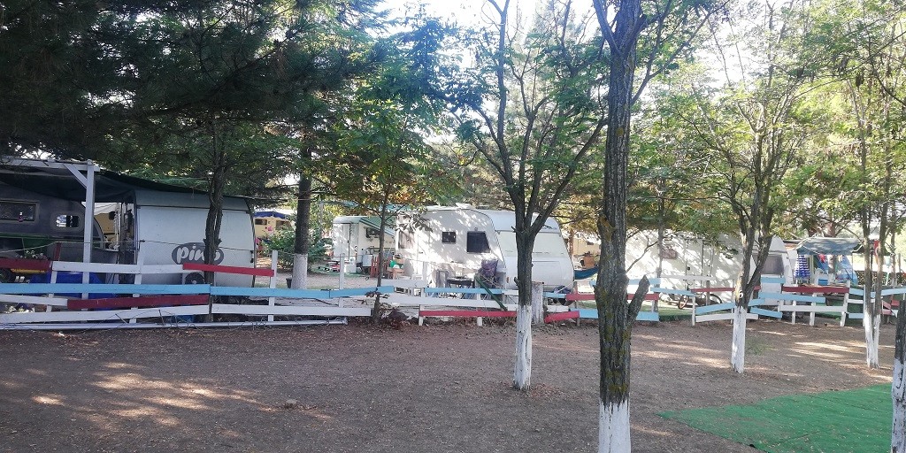 IMG_20200729_082947.jpg IMG_20200729_082947.jpg