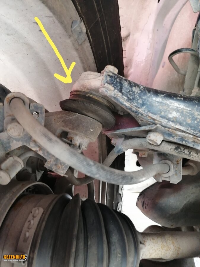 IMG_20210622_110445.jpg IMG_20210622_110445.jpg