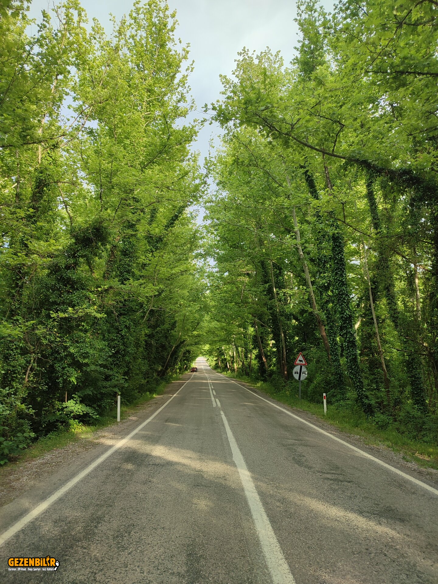 IMG_20220530_183236.jpg IMG_20220530_183236.jpg