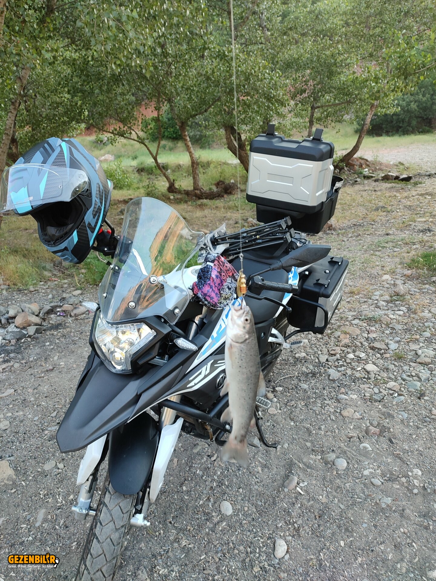 IMG_20220606_180810.jpg IMG_20220606_180810.jpg