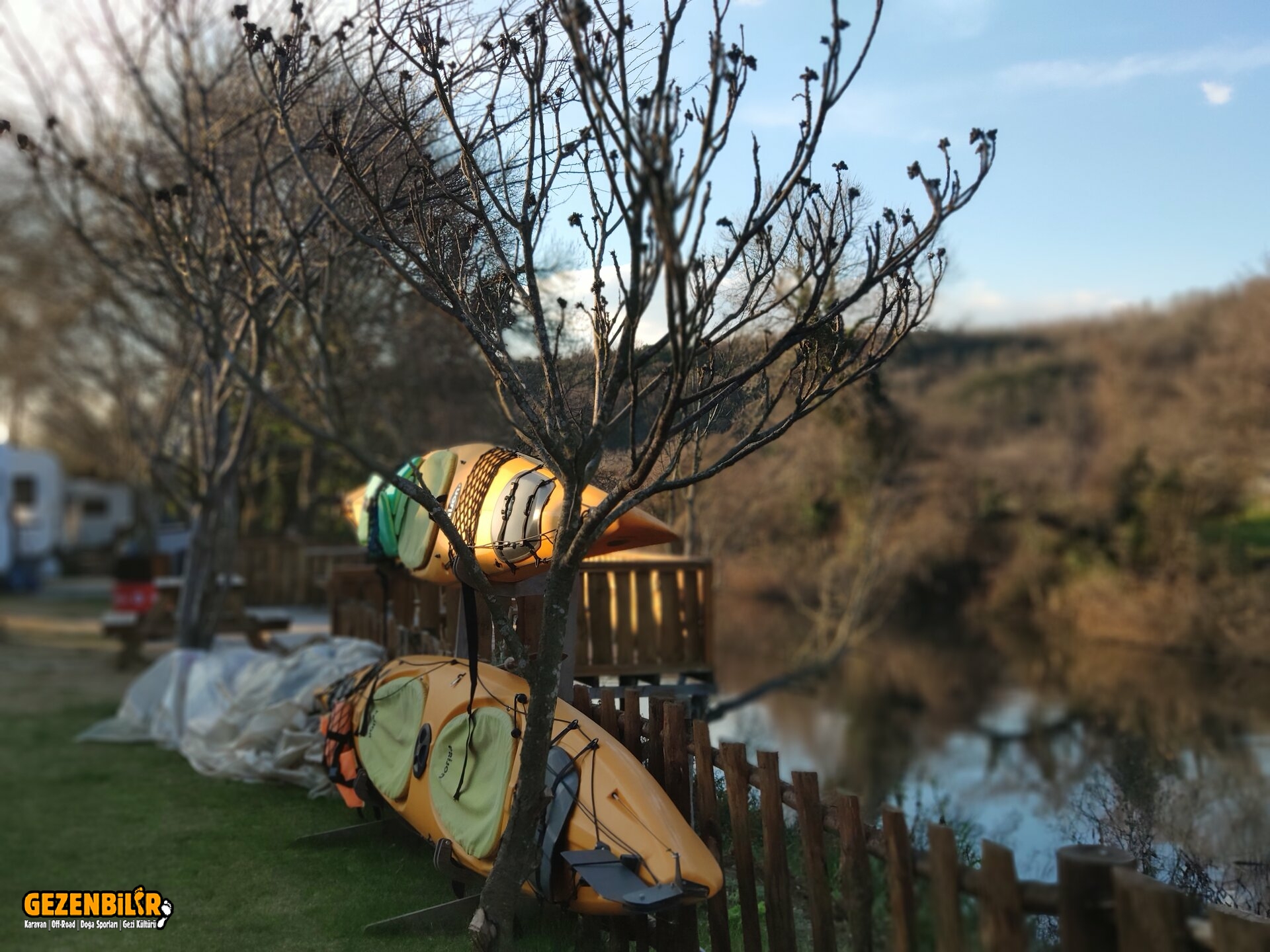 IMG_20230202_171440.jpg IMG_20230202_171440.jpg