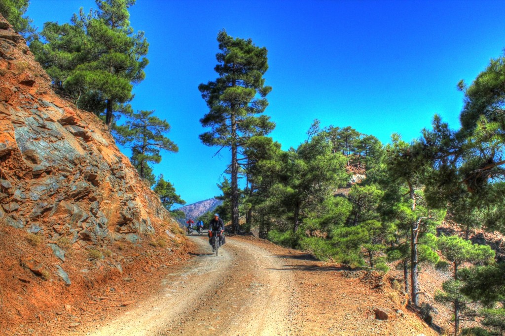 IMG_2040_tonemapped (1024x683).jpg