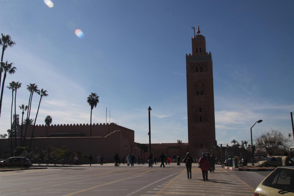 IMG_2046 (Large).JPG