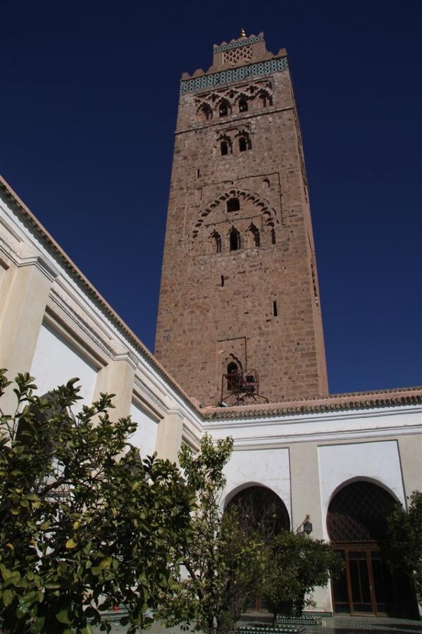 IMG_2073 (Large).JPG