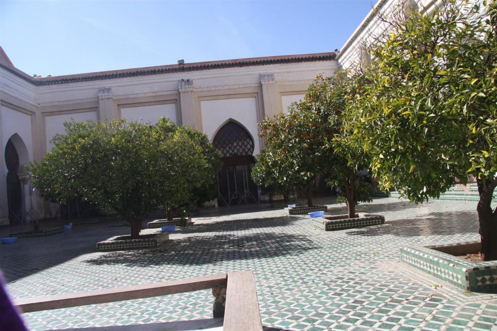 IMG_2074 (Large).JPG