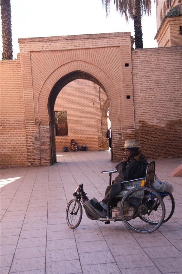 IMG_2081 (Large).JPG