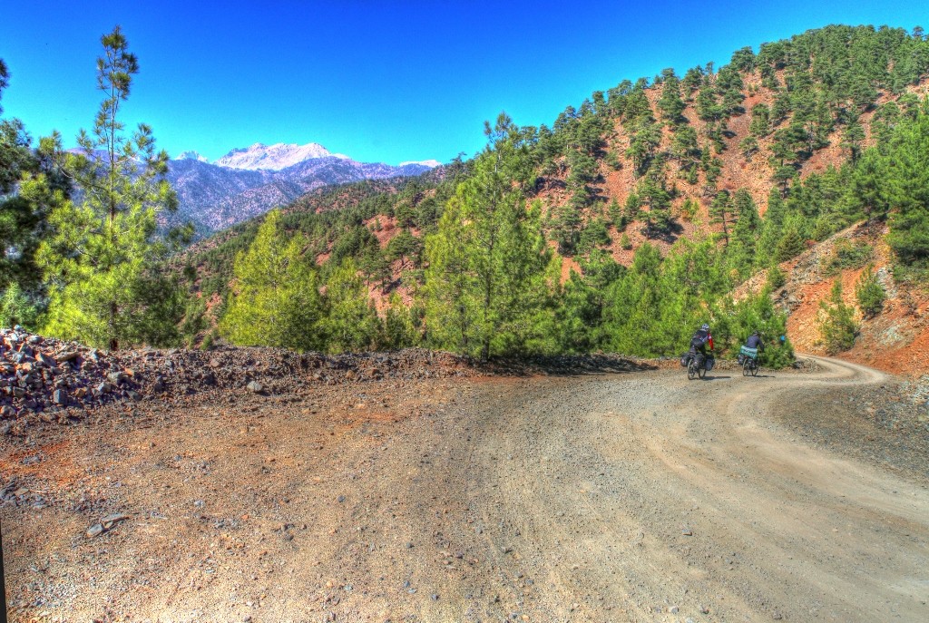 IMG_2091 BirleÃƒÂƒÃ‚Â…ÃƒÂ‚Ã‚ÂŸtirme_tonemapped (1024x687).jpg