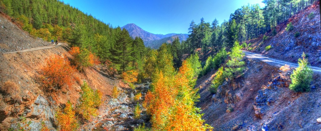 IMG_2104 BirleÃƒÂƒÃ‚Â…ÃƒÂ‚Ã‚ÂŸtirme_tonemapped (1024x417).jpg