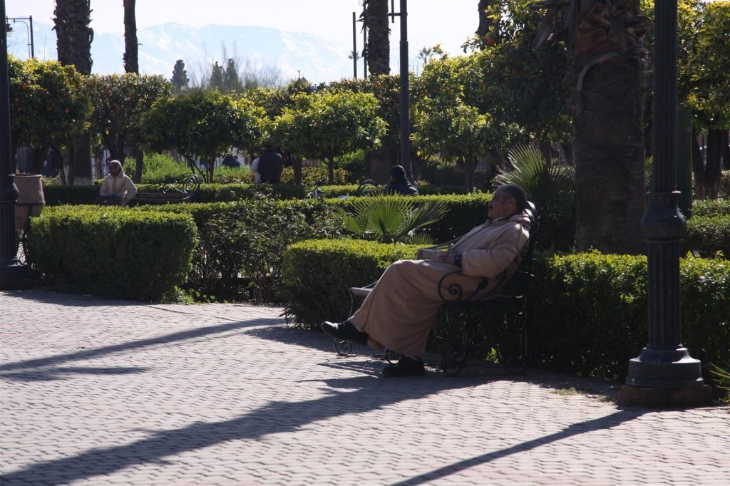 IMG_2107 (Large).JPG