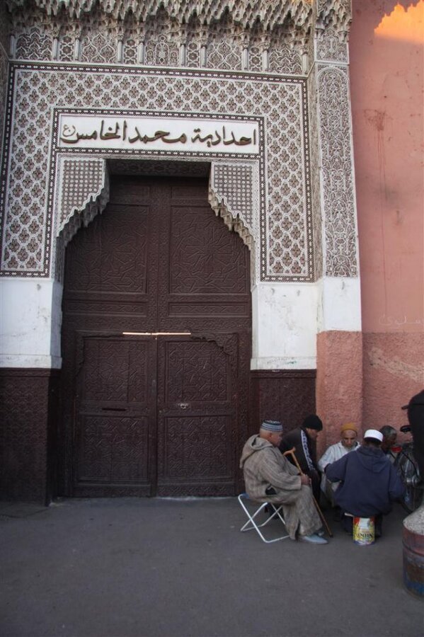 IMG_2313 (Large).JPG