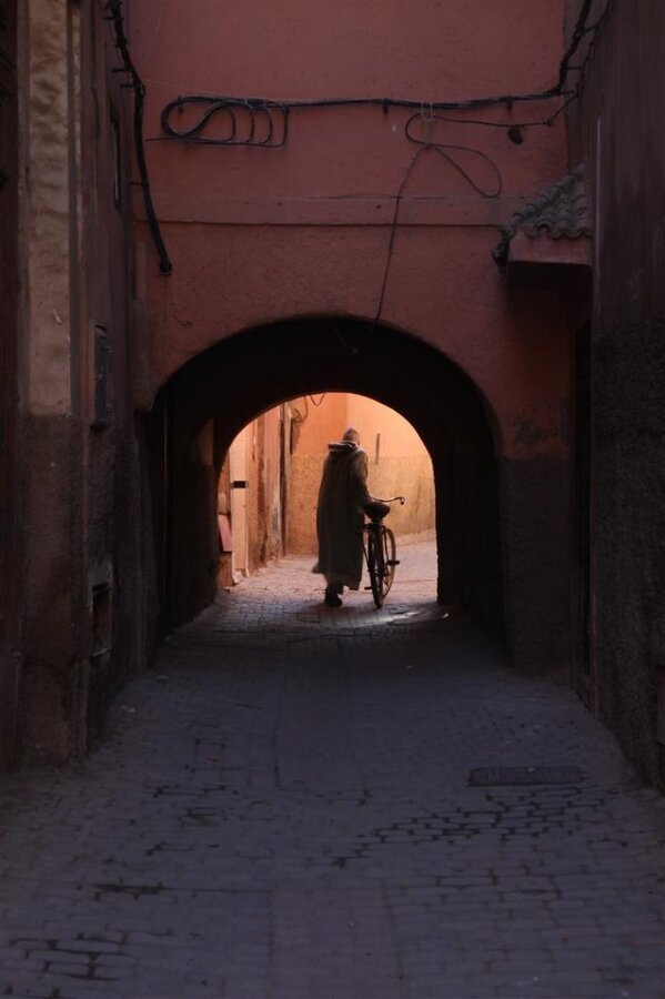 IMG_2338 (Large).JPG