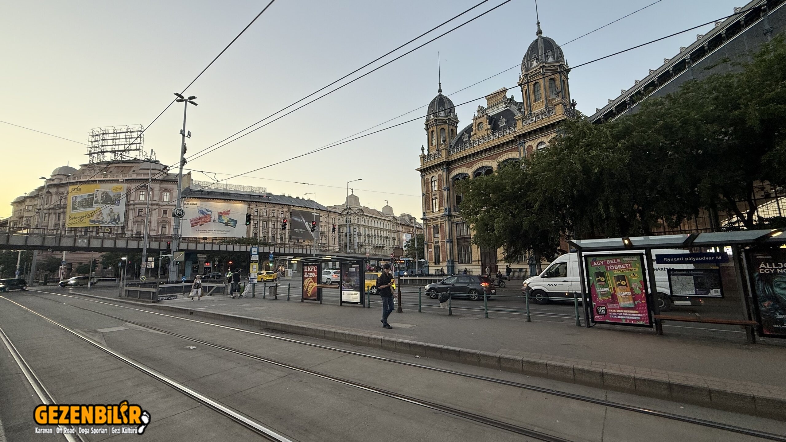 IMG_2392.jpeg