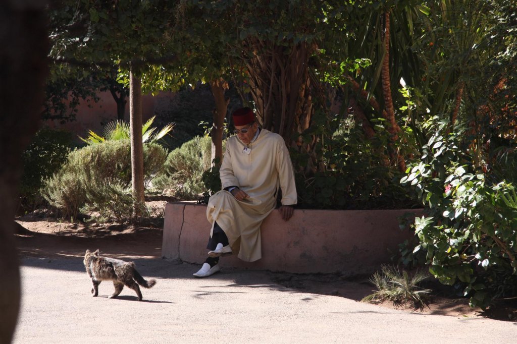 IMG_2419 (Large).JPG