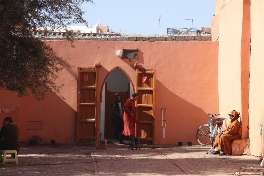 IMG_2422 (Large).JPG